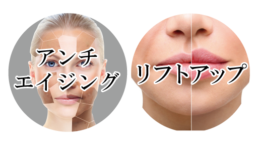 ペガサスプロRF対応メニュー