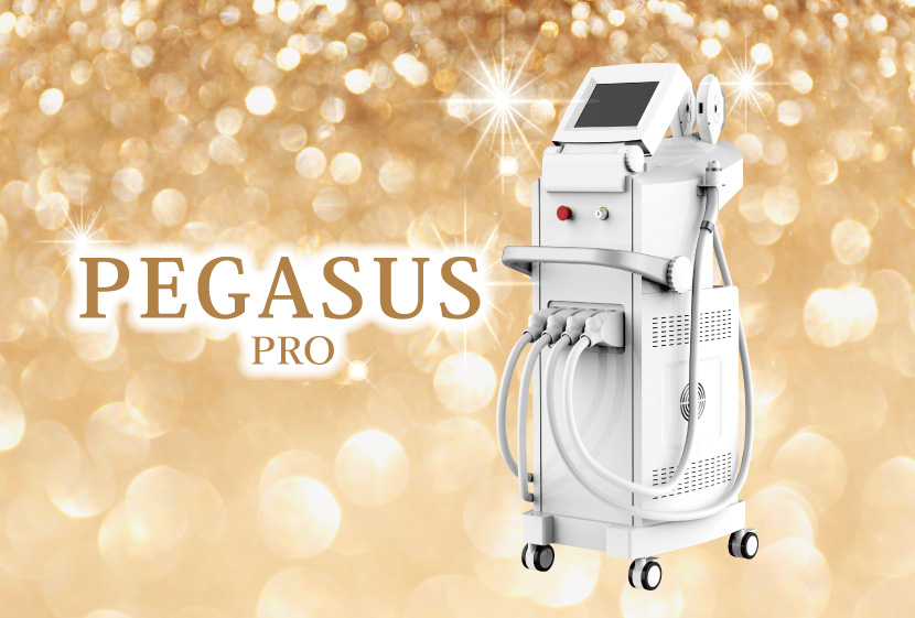 PEGASUS-PRO製品画像