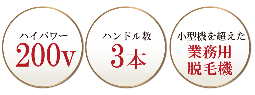 ハイパワー200V-ハンドル3本-小型機を超えた業務用毛機