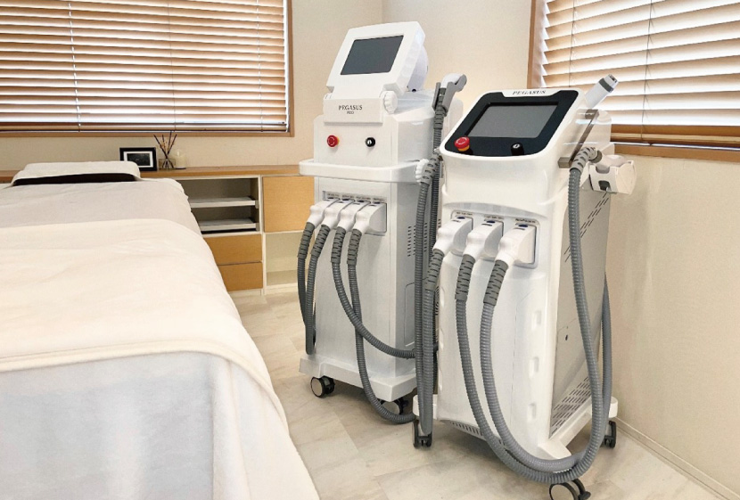 ペガサスプロとペガサス2の比較